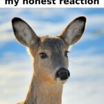 Ro******